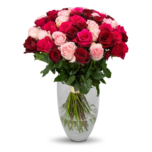 kytice ekvádorských růží